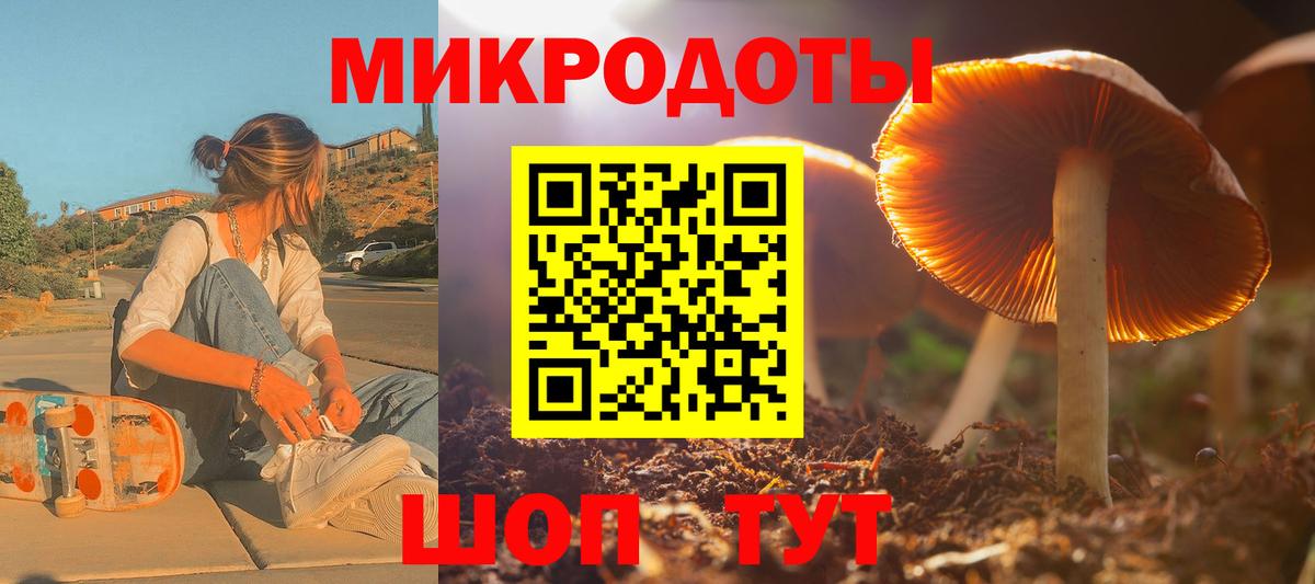 Кировск  Псилоцибиновые грибы MAGIC MUSHROOMS  Вход с VPN 